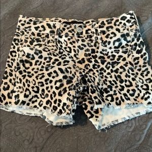 Cute Express cheetah shorts